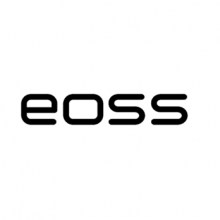 eoss-gruppo-ravelli-logo-21-580x1612